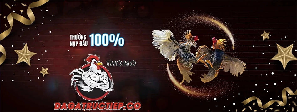 Dagavin - Kết nối cộng đồng đam mê gà chiến 2 trải nghiệm Cơ hội nhận thưởng lớn qua nhiều chương trình khuyến mãi dagatructiep