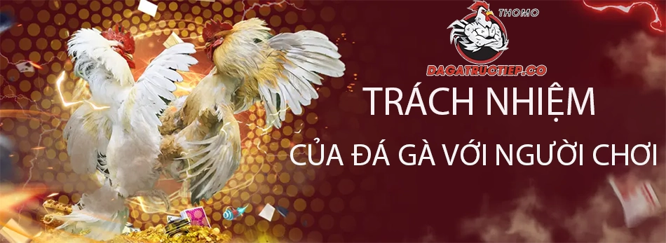 các Trách nhiệm của Đá gà VIN với người chơi 