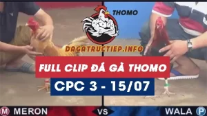 Full Video phát lại Trực tiếp đá gà Thomo ngày 15/07/2024