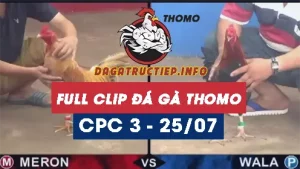 Full Video phát lại Trực tiếp đá gà Thomo C3 ngày 25/07/2024