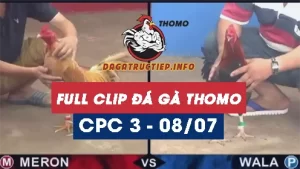Full Video phát lại Trực tiếp đá gà Thomo ngày 08/07/2024