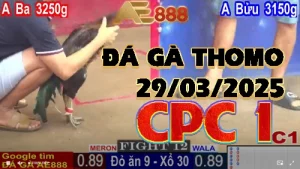 Trực tiếp Thomo C2 ngày 28/03/2025