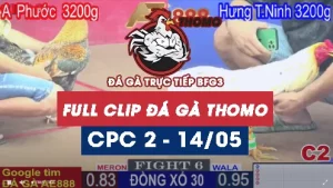 Phát lại đá gà Trực tiếp C2 ngày 14/05/2025