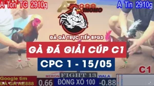 Phát lại Video đá giải thomo C1 ngày 15/5/2025