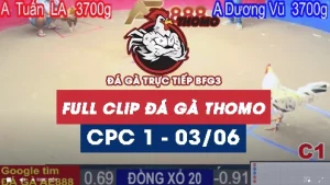 Phát lại đá gà thomo C1 ngày 03/06/2025