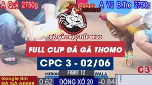 Phát lại đá gà thomo C3 ngày 02/06/2025
