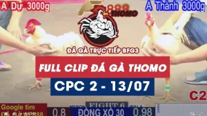 Phát lại đá gà thomo C2 ngày 13/07/2025