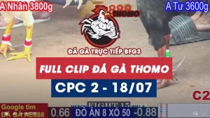 Clip phát lại đá gà CPC2 - 18/07/2025