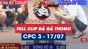 Clip phát lại đá gà CPC3 - 17/07/2025