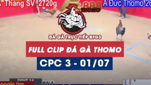 Phát lại đá gà thomo C3 ngày 01/07/2025