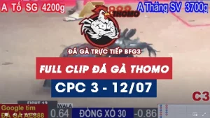 Phát lại đá gà thomo C3 ngày 12/07/2025