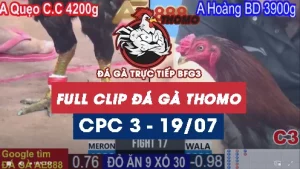 Clip phát lại đá gà CPC3 - 19/07/2025