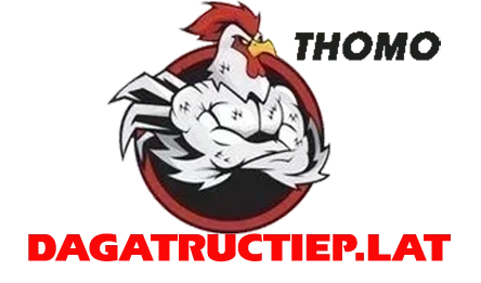 XEM ĐÁ GÀ THOMO TRỰC TIẾP C1 C2 C3 C4 C5 C6 NGÀY HÔM NAY